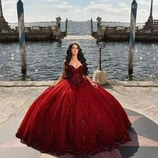 Burgundy Ball Gown Quinceanera Dresses Vestidos De 15 Anos Cinderella Appliques