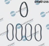 Dr.Motor Automotive DRM0125S Dichtungssatz, AnsaugkrüMmer For Dacia Lada Nissan