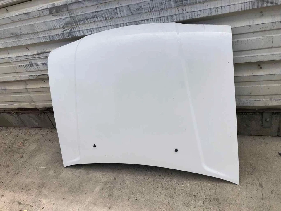 KIA SPORTAGE 1995-2002 deportivo utilitario capó panel pintura código UD blanco transparente Foto 2 de 4