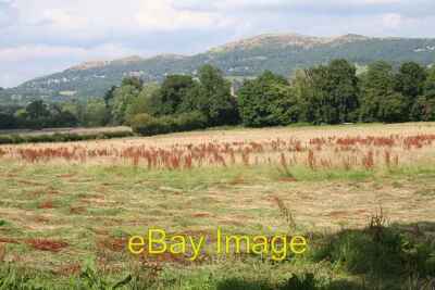Foto 6x4 Heuwiese Colwall wird gerade geschnitten. Die Ernte hat sich verzögert um 2007