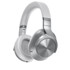 Technics EAH-A800 - Closed Back Headphones  (Pair) (Silver)