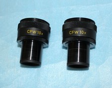 Pair of Nikon CFW 10x Microscope Eyepieces
