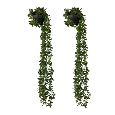 Plantes artificielles suspendues Eucalyptus artificiel Lot de 2 décor réaliste - Photo 1/4