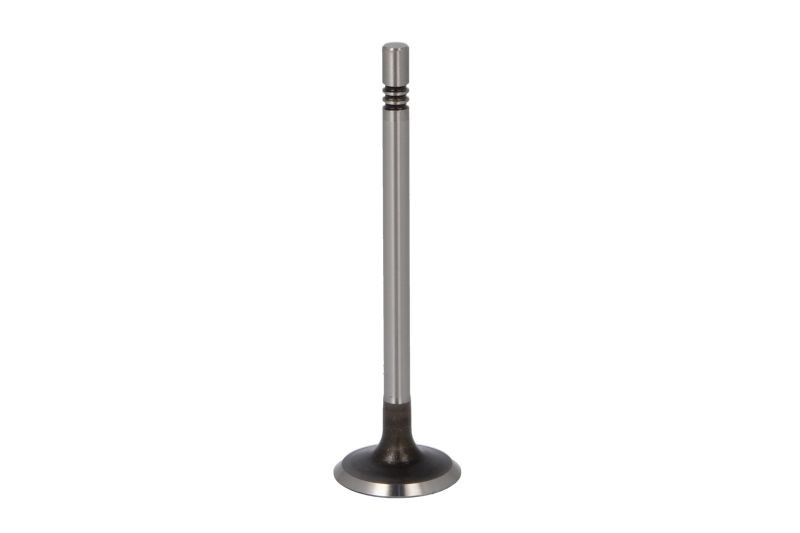 Fits AE V98010 Intake Valve V98010 Intake valve (28,8x6x99,5) fits: A ⭐UK Stock⭐