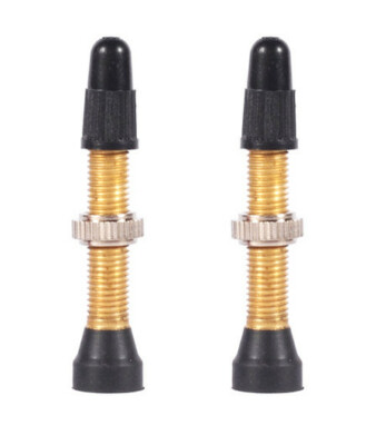 2X WTB TCS TUBELESS VENTILE 34MM VENTIL SUN NOTUBES DT SWISS FELGE *HAMMERPREIS*