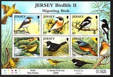 Jersey Stamps 2008 SG MS1406 Jersey Birdlife  (2nd Series) Unmounted Mint MNH