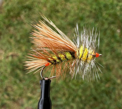 Stimulator Dry Fly   --  Chartruese --  Elk Hair -- Various Sizes -- 3 Flies