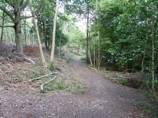 Photo A3 Path east to Counter's Gate car park Charlton/SU8812 c2011