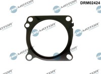 Dr. Motor Automotive DRM02424 Dichtung, Drosselklappe FüR Nissan, Opel, Renault