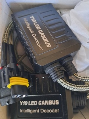 H8/9/11  Y19 Headlight LED Canbus