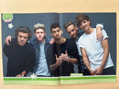 One Direction Harry Styles A3 Poster