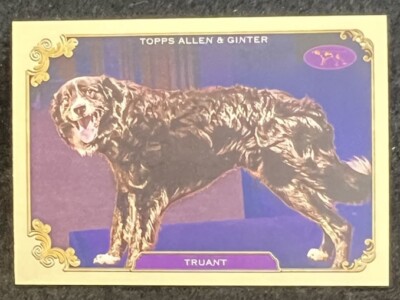 2024 Topps Allen & Ginter - Stars Of The Show - Truant - #SOS-4