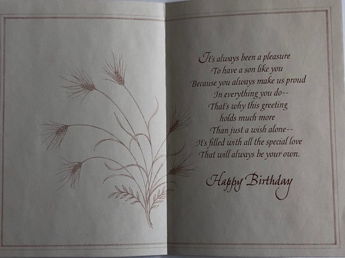 3 NEW Son cards Birthday Anniversary Thanksgiving Hallmark & Designer Greetings - Picture 3 of 10