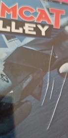 Tomcat Alley | Sega Mega CD | Ohne Anleitung | Zustand: Akzeptabel 