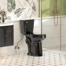12 In. 2-Piece 1.28 GPF Single Flush Elongated Toilet in Black Seat Included