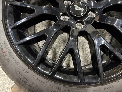 2015-2023 Mustang GT 5.0 19x9.5