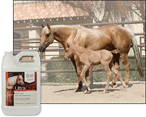UltraCruz Equine Horse Shampoo, 1 Gallon (sc-395294)