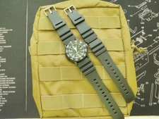 Luminox Watch 22mm Replacement Band with Pins R29