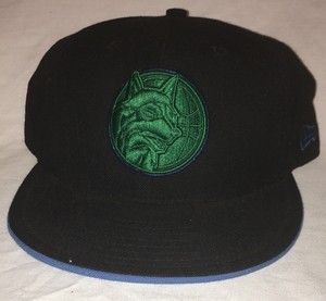 timberwolves hat