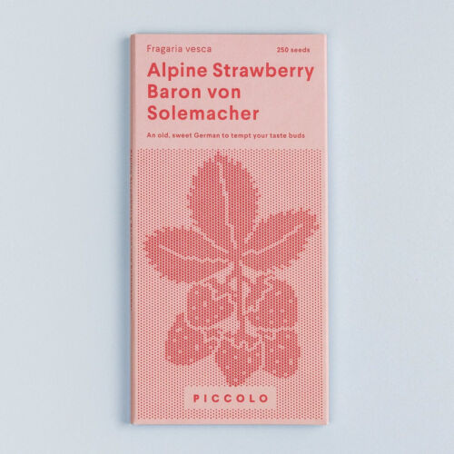 Alpen Erdbeere "Baron von Solemacher" (Saatgut) - Picture 1 of 3