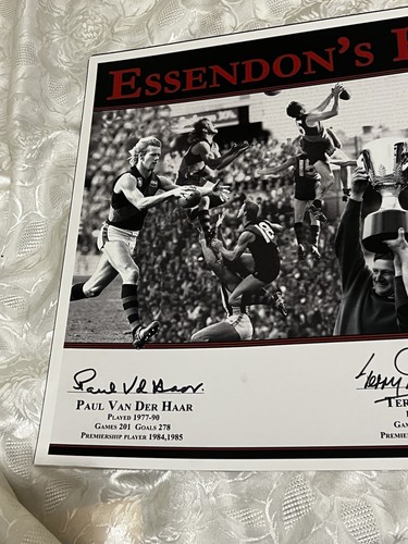 Essendon High Flyers Photo Print Hand Signed Terry Daniher, Van Der Har, Madden - Picture 16 of 24