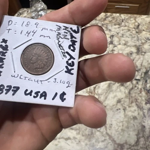 1877 Indian Head Penny Cent Coin Good Condition