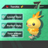 Shiny Alpha Torchic 6 IV for Pokemon Legends ZA