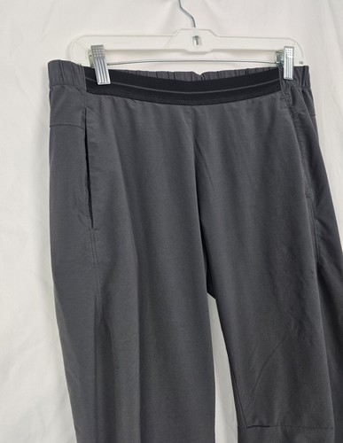 Adidas Terrex Gray Nylon Pull-on Hiking Camping Outdoors Men's Pants sz M - Picture 3 of 8
