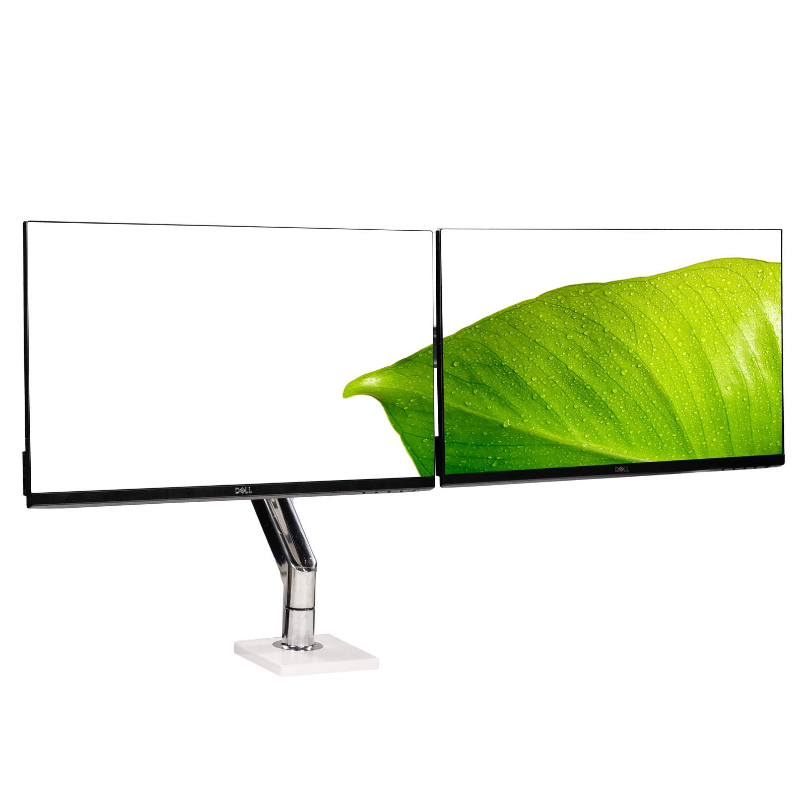 Dual Dell P2419H 24