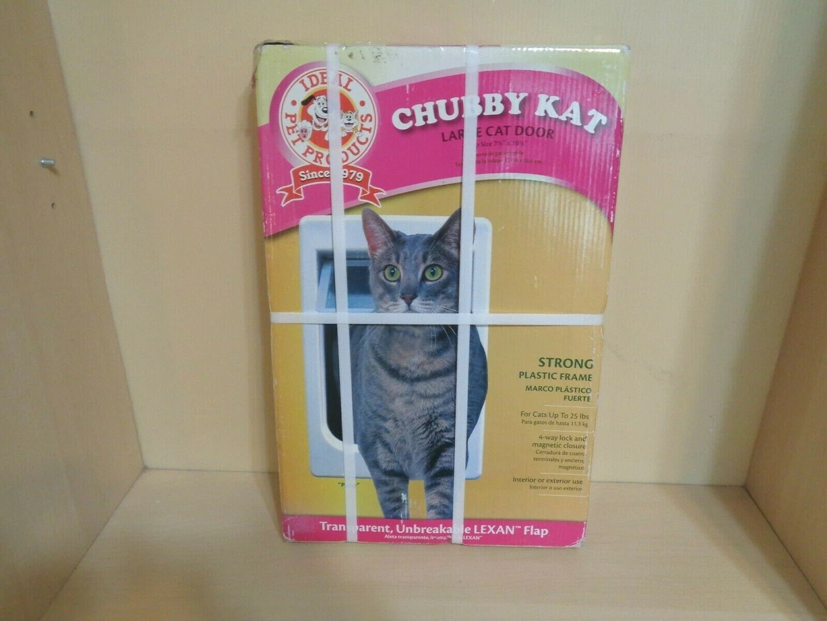 Chubby kat cat clearance door