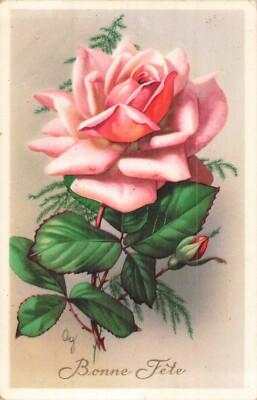 CP ILLUSTREE ICEE ROSE FLEUR - 10049