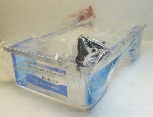 Fisher Scientific Agarose Electrophoresis System, 13x16 cm; Complete and NEW