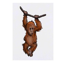'Baby Orangutan' Temporary Tattoos / Transfers TO00045724 