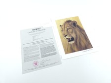 Andrew Bone -Young Warrior- SerioLithograph Lion Africa COA 7