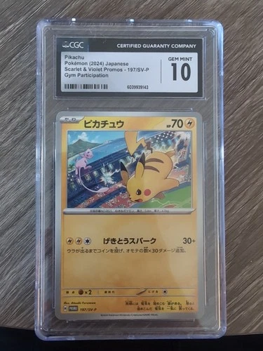 Pikachu 197/SV-P2024 Gym Event Campaign Promo Japanese Pokemon Card