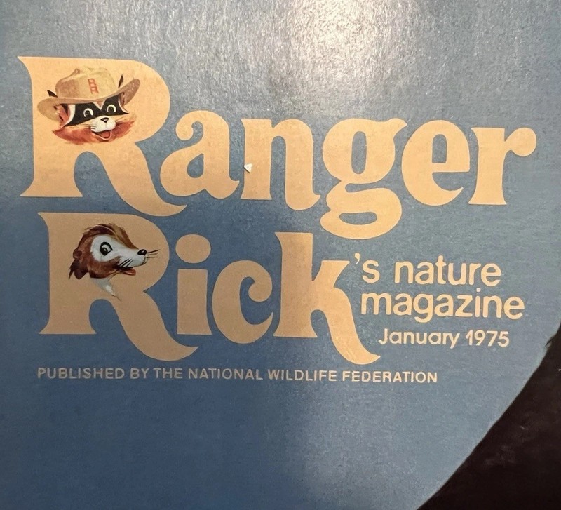Vintage 1970s “Ranger Rick” and National Geographic “World” Magazines—Lot Of 25
