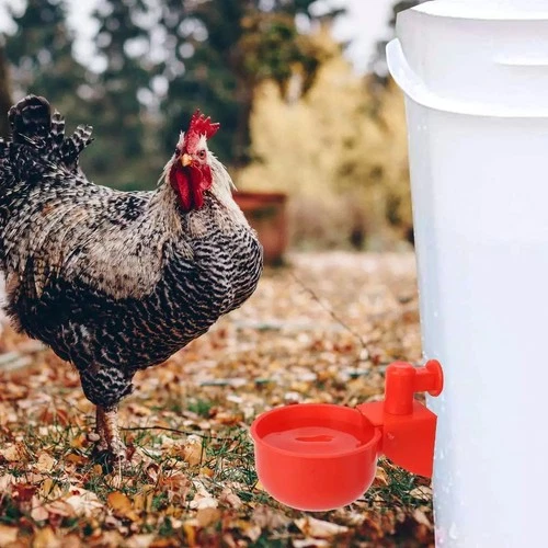 12 PCS Chicken Automatic Watering Cups Poultry Drinker Waterer Duck Quail Hen - Picture 9 of 19