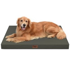 Tail Stories Outdoor Extra Large Dog Bed, Waterproof Dog Bed for Large Dogs,