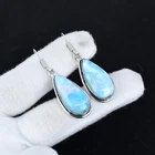 Beautiful Larimar Gemstone Handmade 925 Sterling Silver Earrings For Anniversary