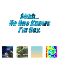 No One Knows I'm Gay - Vinyl Decal Sticker - Multiple Patterns & Sizes - ebn3916