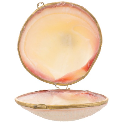 Pearl Clam Storage Box Jewelry Case Seashell Decorative Child Container
