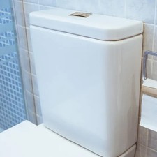 Enhanced Flush Modern Dual Flush Toilet Push Button for Water Conservation