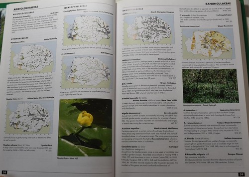 A FLORA OF NORFOLK Beckett & Bull SIGNED. Wild Flowers, Plants, Trees. Botany - 第 4/7 張圖片