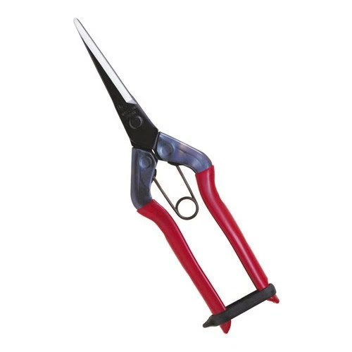 Japanese CHIKAMASA Harvesting Scissors Gardening Agriculture Bonsai 195mm T-570 - Picture 1 of 2