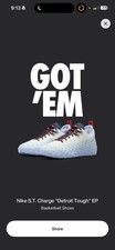 Size 9.5 Nike S.T. Charge PE Cade Cunningham ...