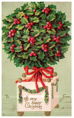 Christmas Holly Bush in Container c.1905 Vintage Undivided Postcard
