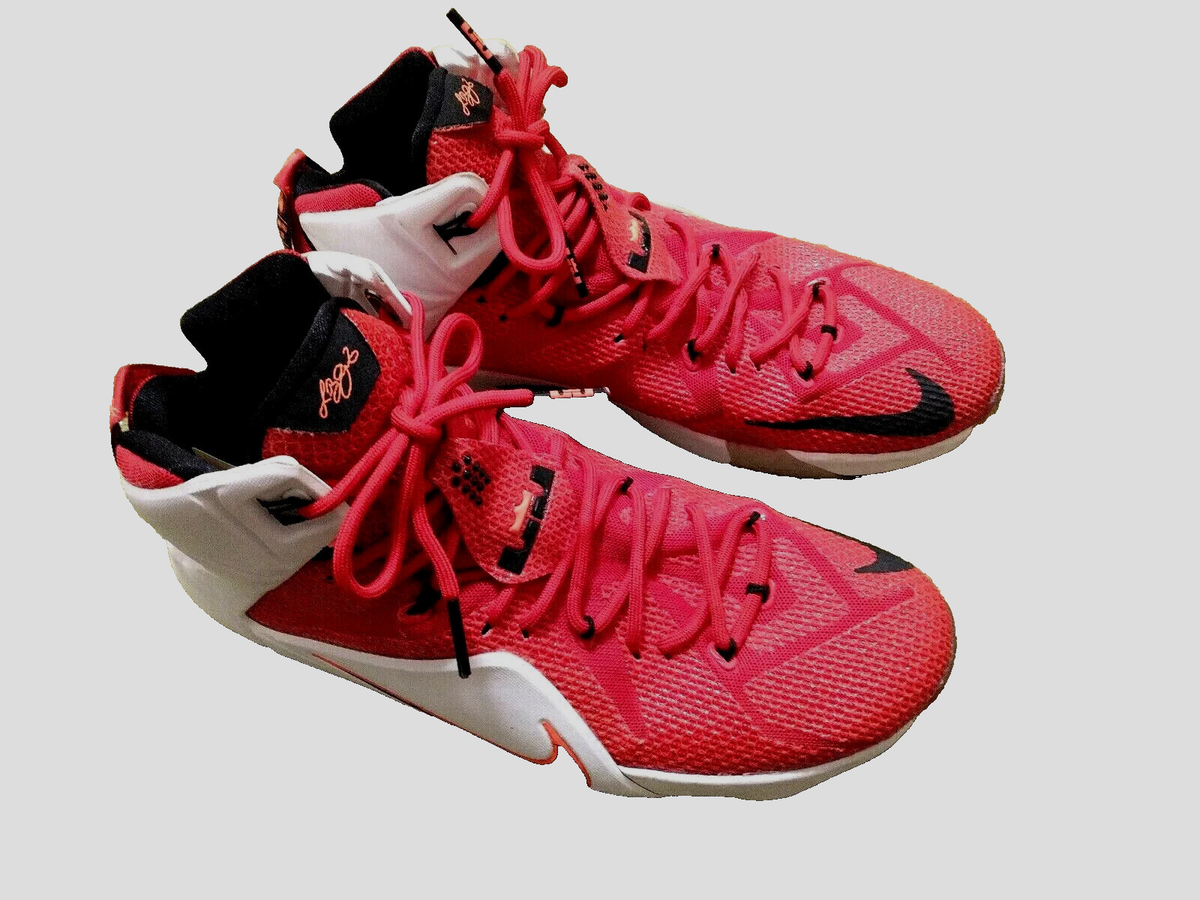 Nike LeBron 12 Heart Of A Lion 2014 Men display picture 2