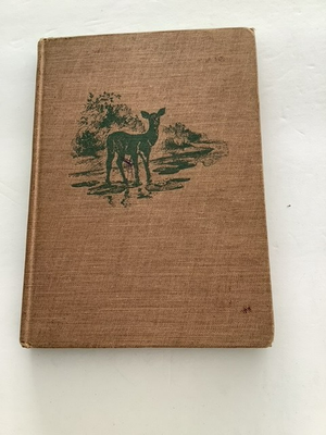 #ad #ad Giant Mountain: By Frances Neilson. 1946 First Edition HC. E.P. Dutton amp; Company $28.00