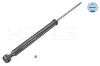 2X Meyle StoßDäMpfer 726 725 0023 FüR Fiesta Mazda Ford CCN CB1 6 Van LPG Tdci