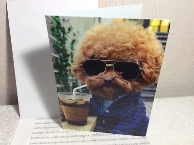 HAPPY BIRTHDAY CARD AVANTI New w/Envelope “Have a Cool Birthday” Dog w/Glasses